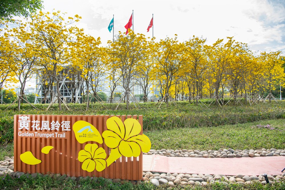 Hong Kong International Airport's Golden Trumpet Trail