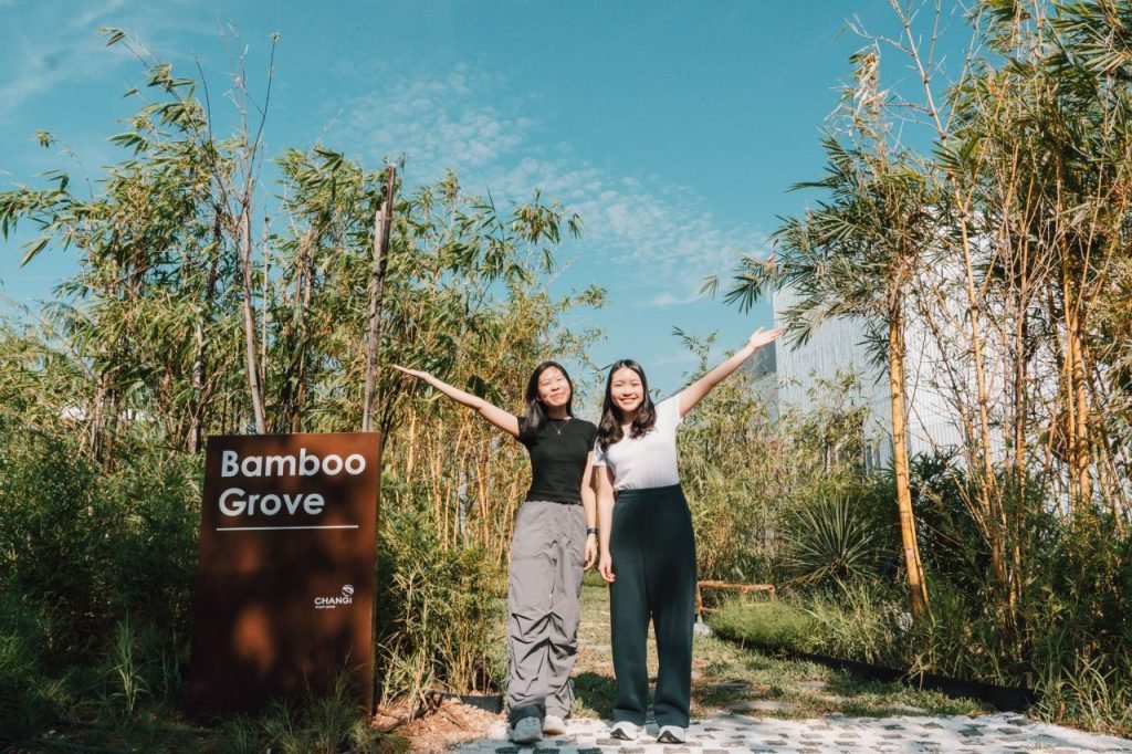 Gardens, games and more!